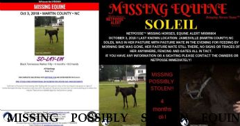 MISSING POSSIBLY STOLEN EQUINE Soliel, FOUND DECEASED   Near Jamesville, NC, 27846